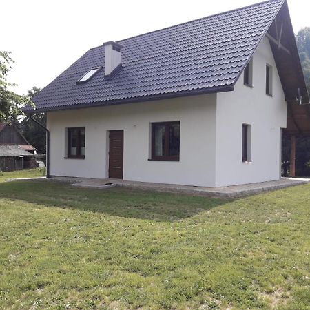 Apartament Pod Lipka Lutowiska Bagian luar foto