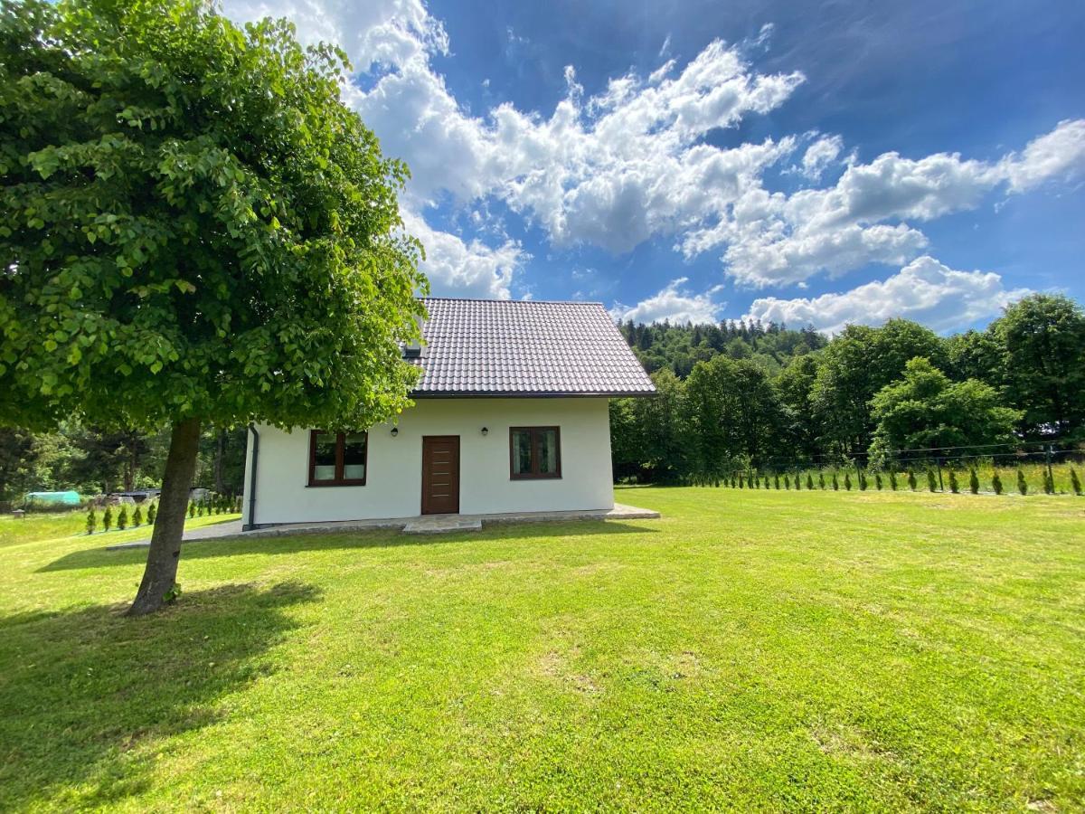 Apartament Pod Lipka Lutowiska Bagian luar foto